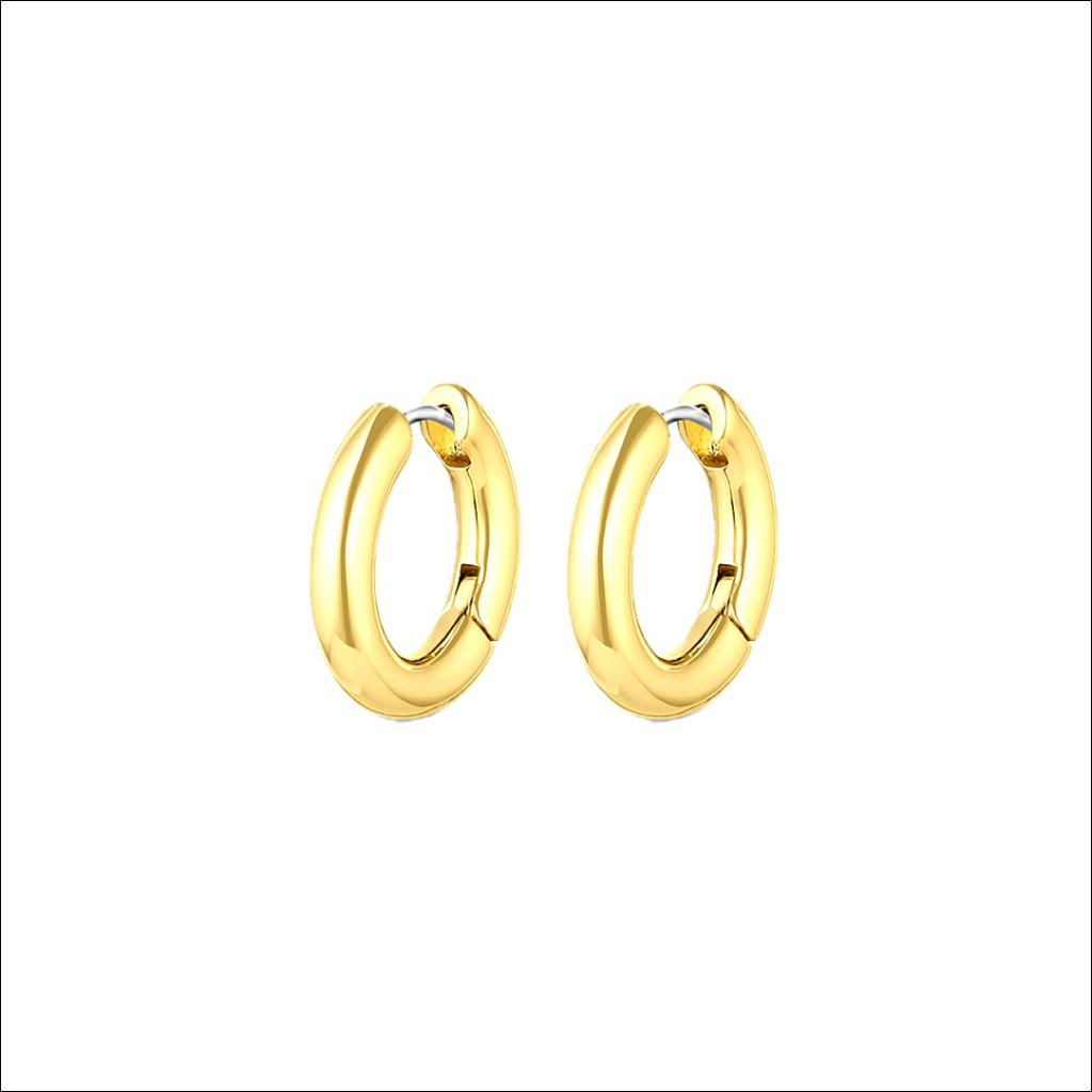 Gold Plated Mini Hoop Earrings With Hinge Closure